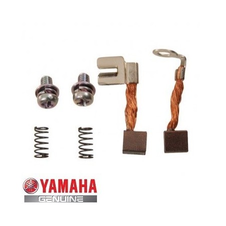 Perii electromotor Yamaha WR250/450cc