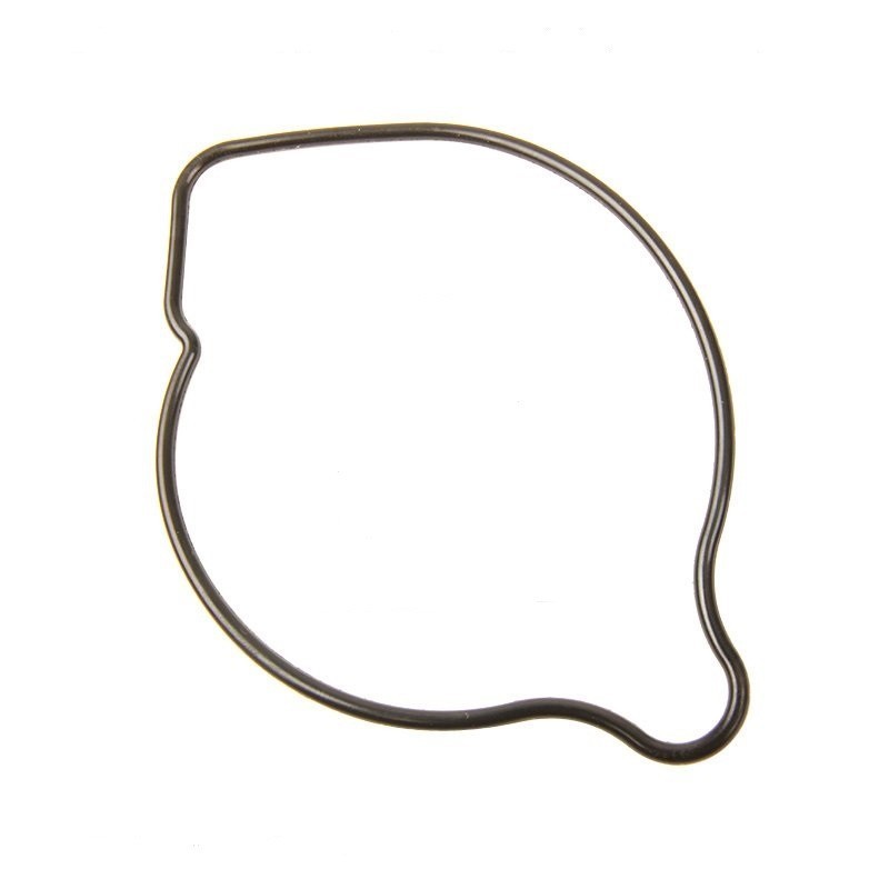 HONDA CRF 250-450R-X GARNITURA CAPA POMPA APA